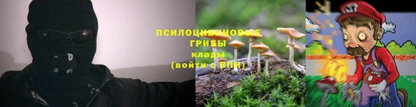 мяу мяу кристалл Нягань