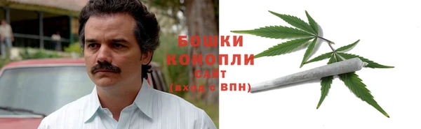 гидра Арсеньев