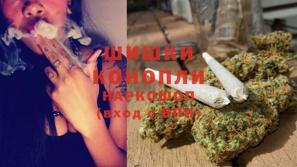 гидра Арсеньев