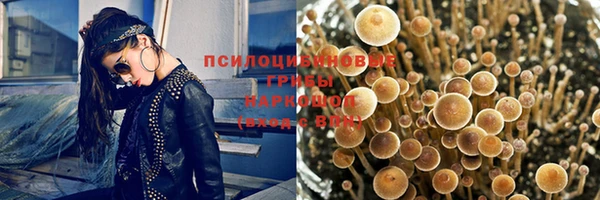 гидра Арсеньев