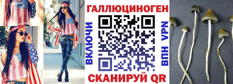 Галлюциногенные грибы Psilocybe  Татарск 